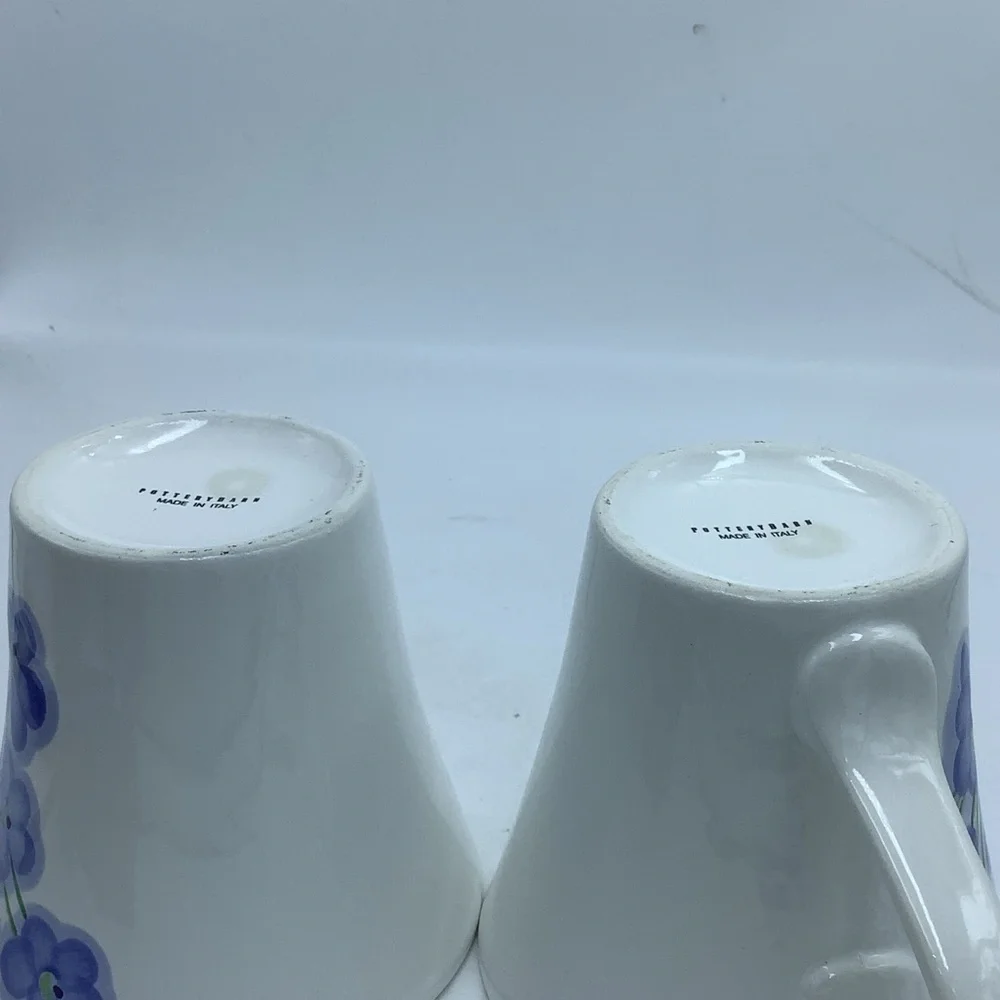 Two Pottery Barn Blue Flower Mugs